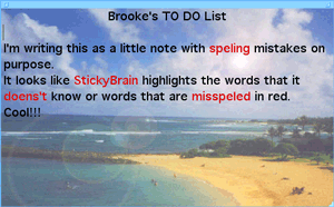 sb-spelling-mistakes