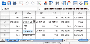 spss smart viewer for mac